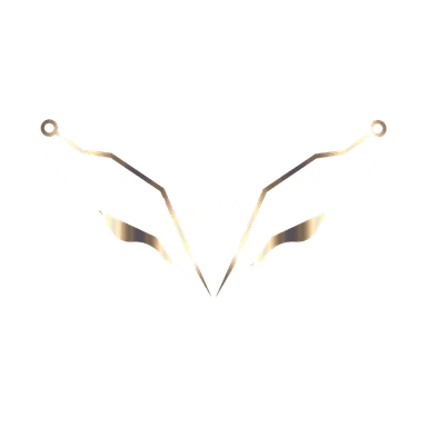 Eagles System